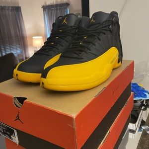 Air Jordan 12